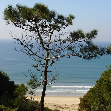 Aroeira Golf View Charneca